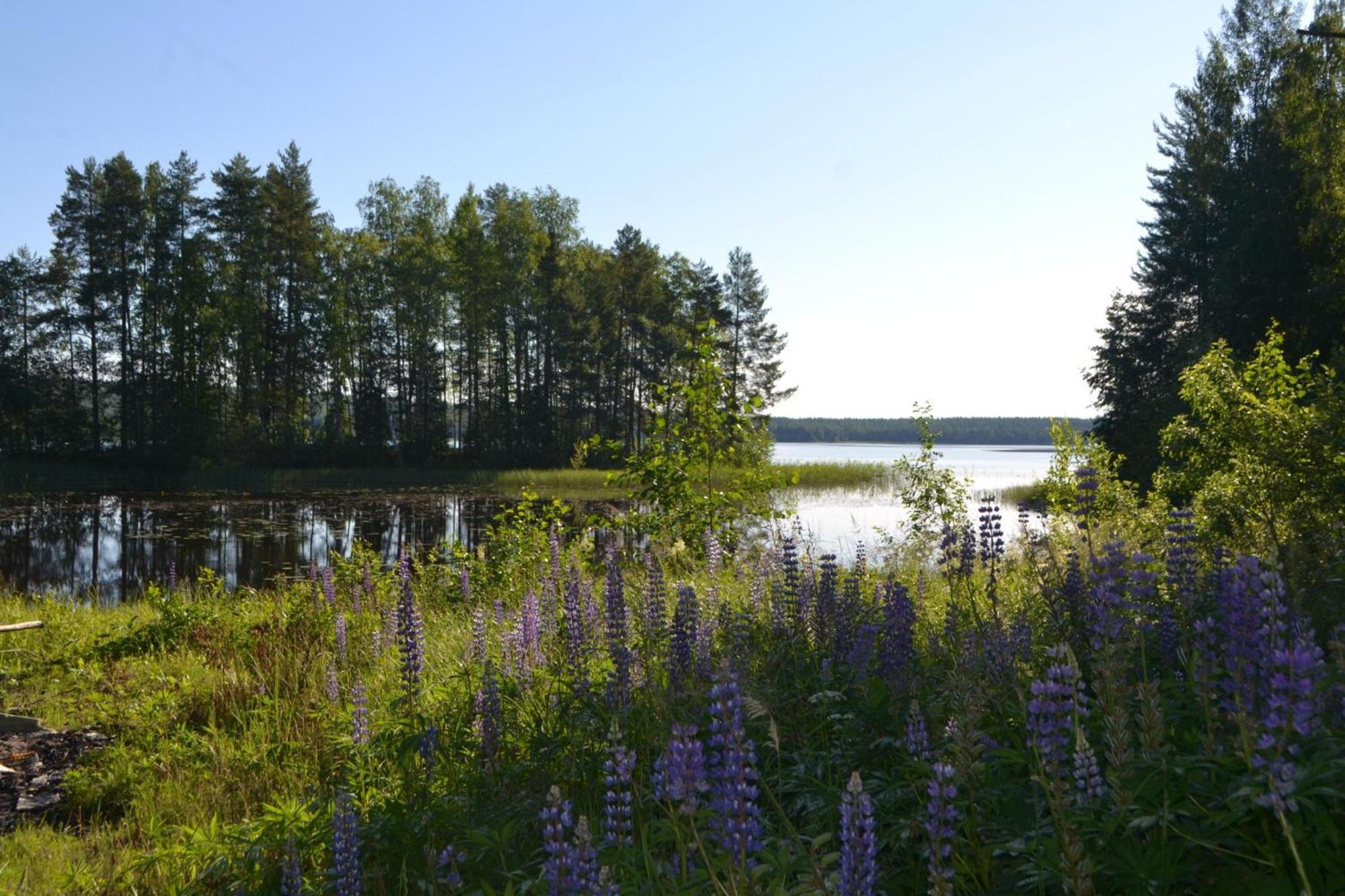 Hannilansalmi Camping Виитасаари Экстерьер фото